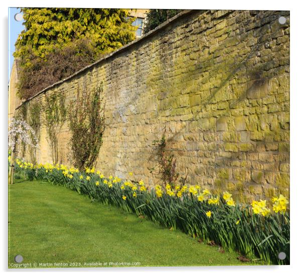 Daffodils in a row Acrylic by Martin fenton