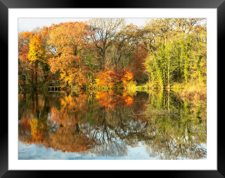 Autumn Lake Framed Mounted Print by Victor Burnside