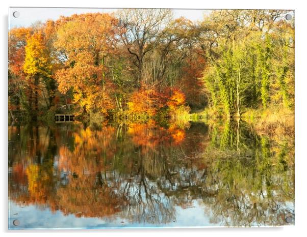 Autumn Lake Acrylic by Victor Burnside