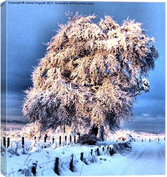 Glorious Winter Strikes Again Canvas Print by James Hogarth