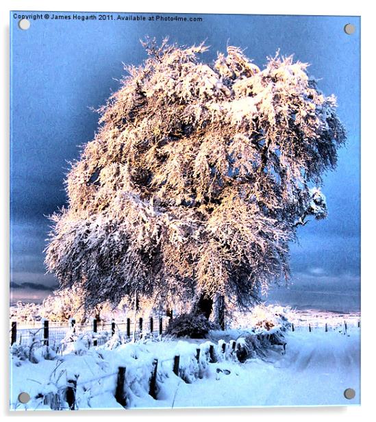 Glorious Winter Strikes Again Acrylic by James Hogarth