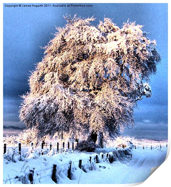 Glorious Winter Strikes Again Print by James Hogarth