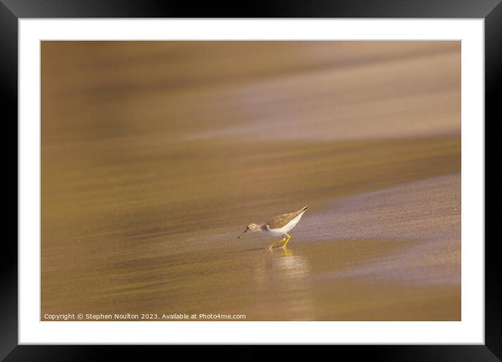 The Sandpiper between waves. Framed Mounted Print by Stephen Noulton