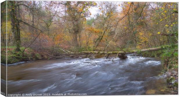 The River Camel at Helland Bridge Canvas Print by Andy Durnin