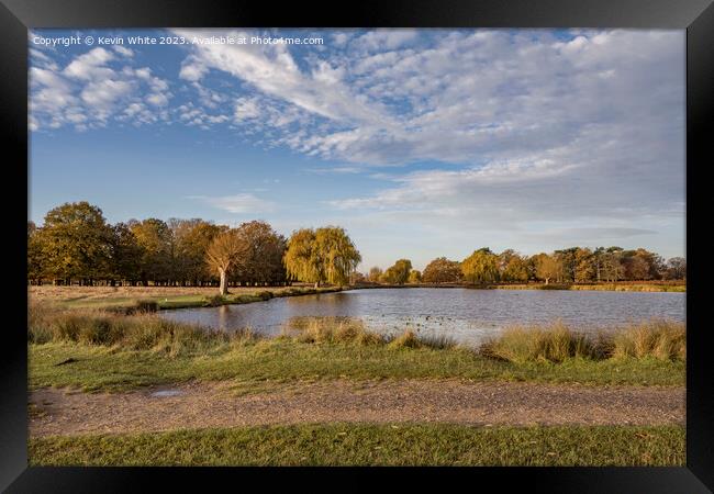 Bright late November morning at Bushy Park Surrey Framed Print by Kevin White