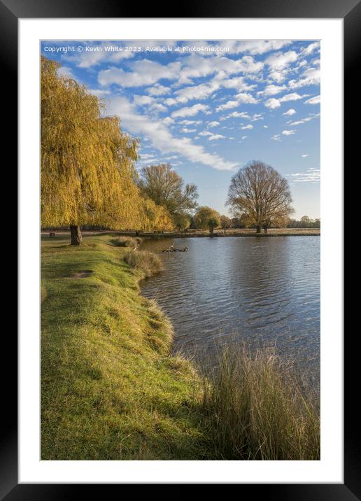 Bushy Park pondside autumn view Framed Mounted Print by Kevin White