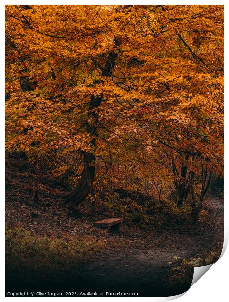 A place to contemplate in autumn Print by Clive Ingram