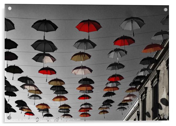 Umbrella Street Hythe Kent  Acrylic by Antoinette B