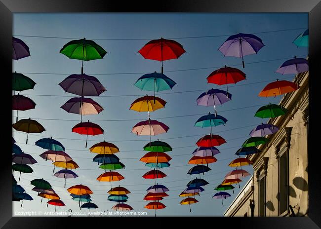 Umbrella Street Hythe Kent  Framed Print by Antoinette B