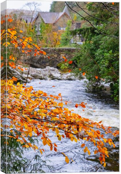 Autumnal Afon Llugwy River in Betws-y-Coed Canvas Print by Pearl Bucknall
