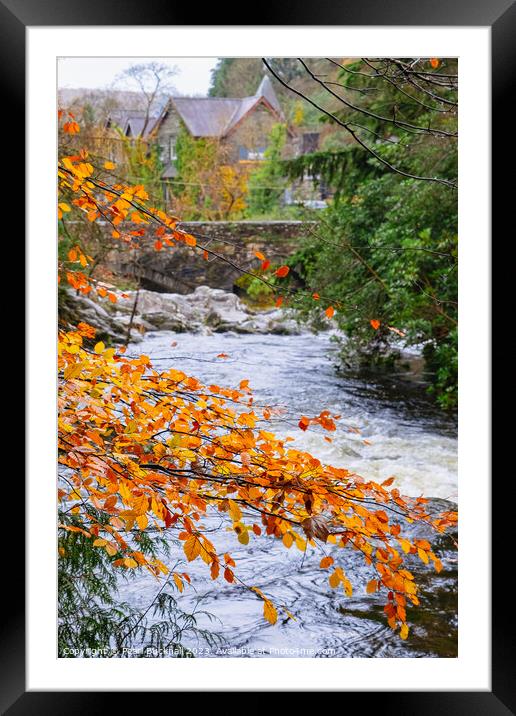 Autumnal Afon Llugwy River in Betws-y-Coed Framed Mounted Print by Pearl Bucknall