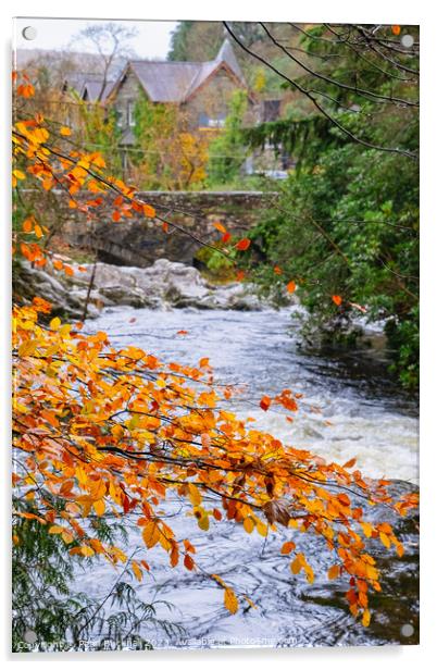 Autumnal Afon Llugwy River in Betws-y-Coed Acrylic by Pearl Bucknall