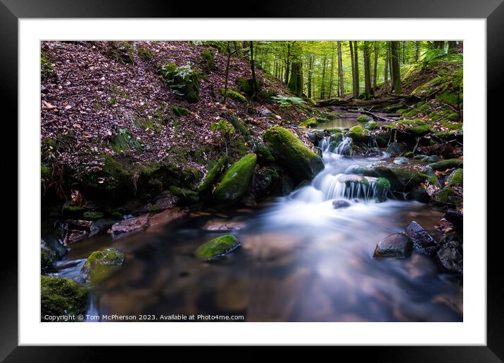 Mountain Stream Framed Mounted Print by Tom McPherson