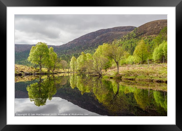 Spring Greens Framed Mounted Print by Iain MacDiarmid