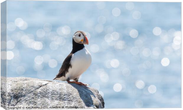 Peaceful Puffin  Canvas Print by Kay Roxby