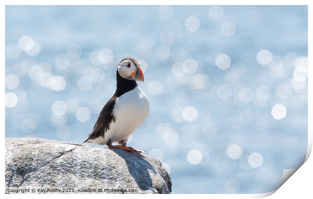 Peaceful Puffin  Print by Kay Roxby