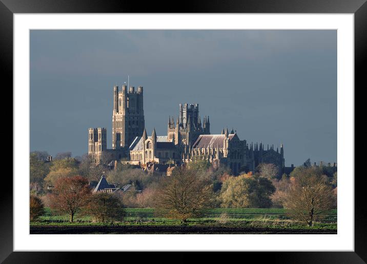 Afternoon autumnal light on Ely Cathedral, 23rd November 2023 Framed Mounted Print by Andrew Sharpe