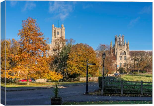 Sunny autumnal day in Ely, Cambridgeshire, 23rd November 2023 Canvas Print by Andrew Sharpe