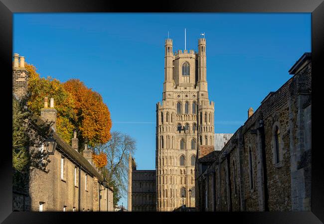 Sunny autumnal day in Ely, Cambridgeshire, 23rd November 2023 Framed Print by Andrew Sharpe