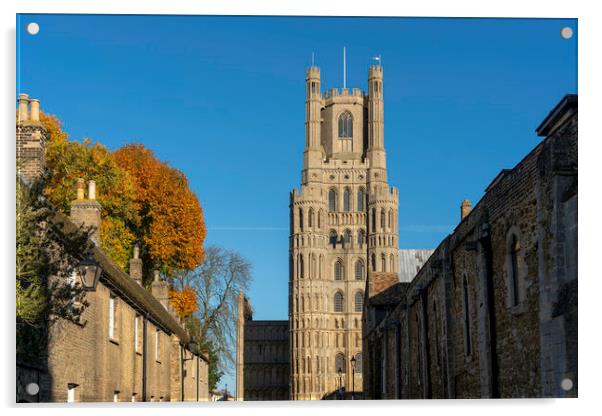 Sunny autumnal day in Ely, Cambridgeshire, 23rd November 2023 Acrylic by Andrew Sharpe