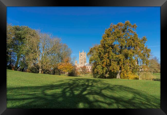 Sunny autumnal day in Ely, Cambridgeshire, 23rd November 2023 Framed Print by Andrew Sharpe