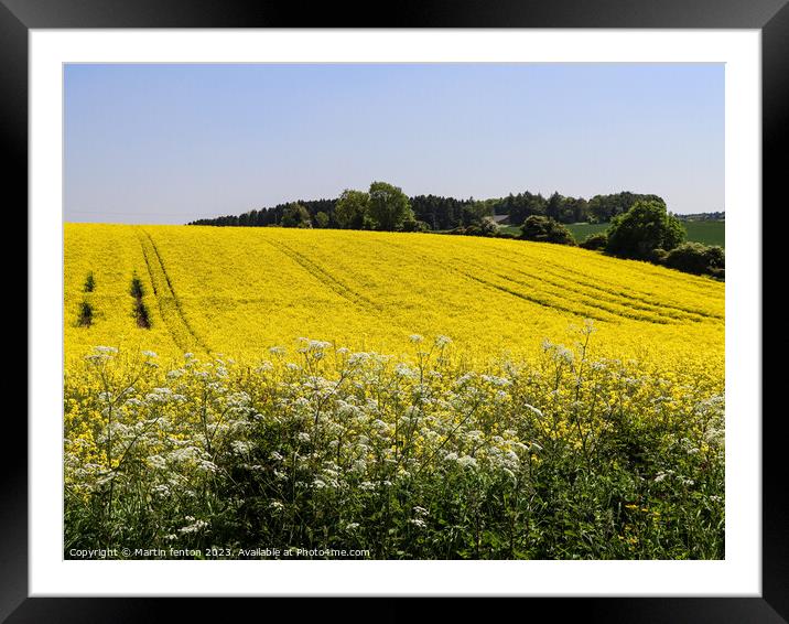 Yellow Cotswolds field Framed Mounted Print by Martin fenton