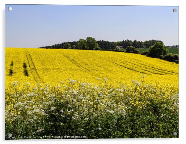 Yellow Cotswolds field Acrylic by Martin fenton