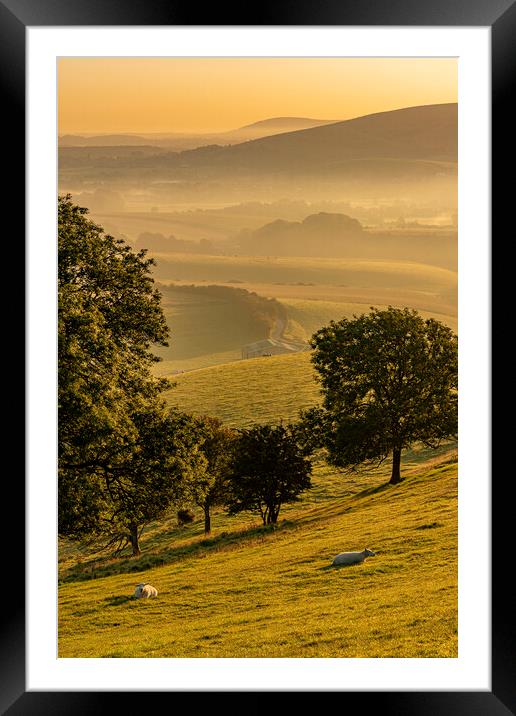 Tranquil South Downs Framed Mounted Print by Malcolm McHugh