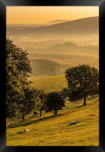 Tranquil South Downs Framed Print by Malcolm McHugh