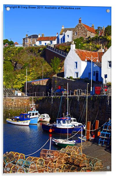 Crail Harbour, Fife Scotland Acrylic by Craig Brown