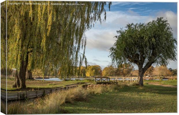 Weeping willow over stream Bushy Park in the autumn Canvas Print by Kevin White