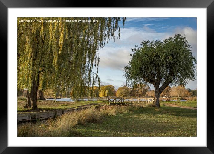 Weeping willow over stream Bushy Park in the autumn Framed Mounted Print by Kevin White