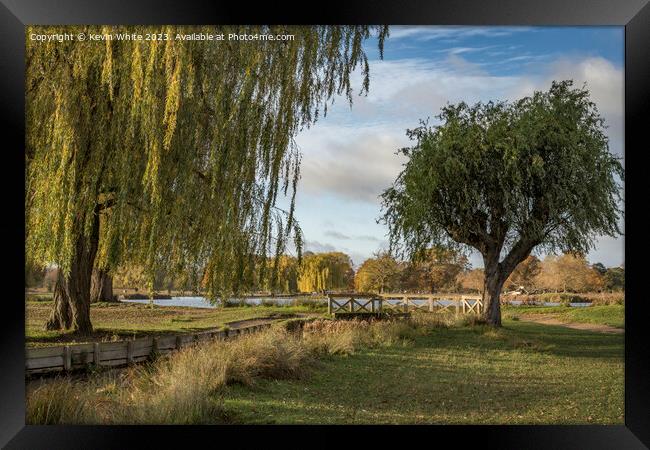 Weeping willow over stream Bushy Park in the autumn Framed Print by Kevin White