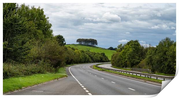 Nearly Home Trees A30 Print by kathy white