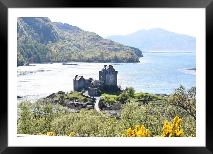 Eilean Donan Castle, the Highlands , Scotland Framed Mounted Print by Photogold Prints