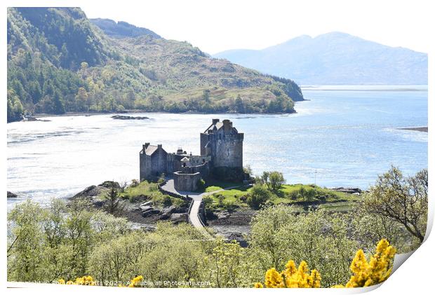 Eilean Donan Castle, the Highlands , Scotland Print by Photogold Prints