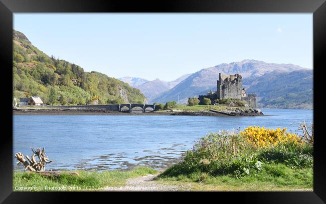 Eilean Donan Castle in the Highlands , Scotland Framed Print by Photogold Prints