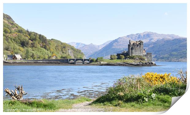 Eilean Donan Castle in the Highlands , Scotland Print by Photogold Prints