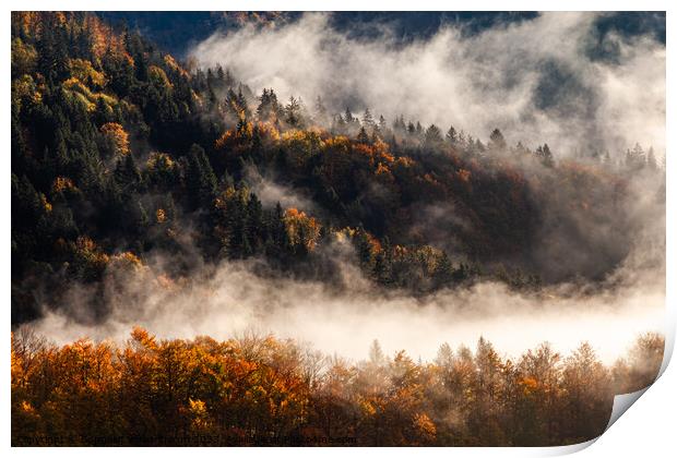 This is what autumn feels like in Slovenia Print by Suppakij Vorasriherun