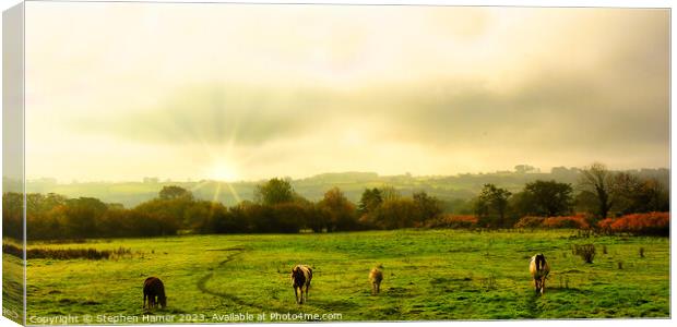 Horses Heading Home Canvas Print by Stephen Hamer