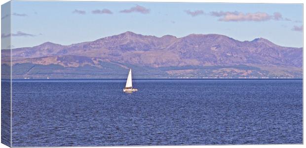 Sailing in the Firth of clyde Canvas Print by Allan Durward Photography