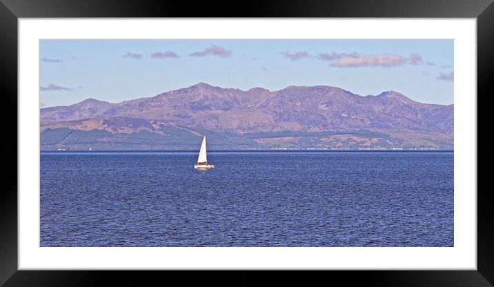 Sailing in the Firth of clyde Framed Mounted Print by Allan Durward Photography