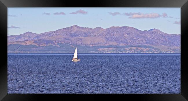 Sailing in the Firth of clyde Framed Print by Allan Durward Photography