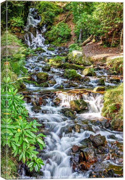 Burrator  Waterfall Dartmoor  Canvas Print by Jim Key