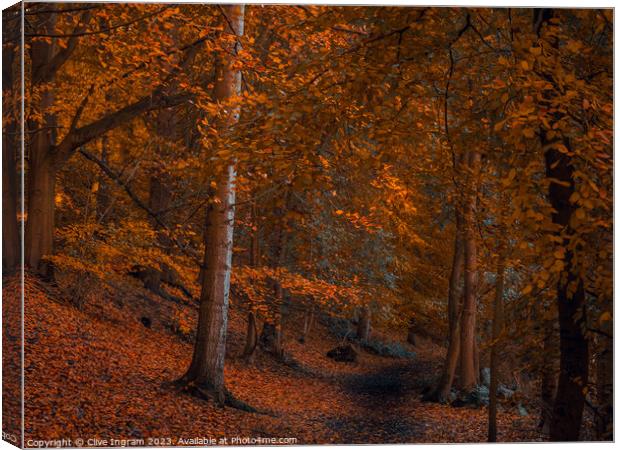 An autumn walk in the forest Canvas Print by Clive Ingram