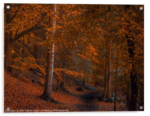 An autumn walk in the forest Acrylic by Clive Ingram