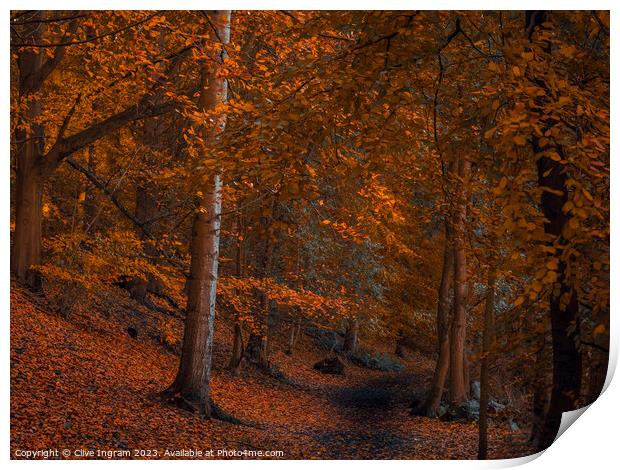 An autumn walk in the forest Print by Clive Ingram