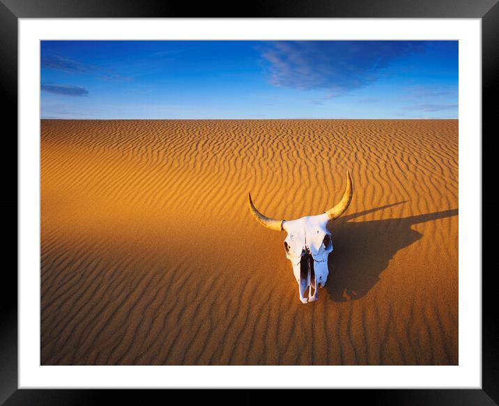 Cow Skull in the Sand Framed Mounted Print by Dave Reede