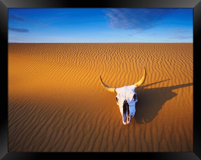 Cow Skull in the Sand Framed Print by Dave Reede