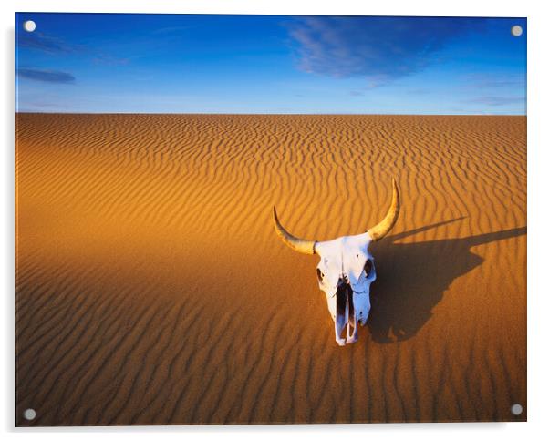 Cow Skull in the Sand Acrylic by Dave Reede